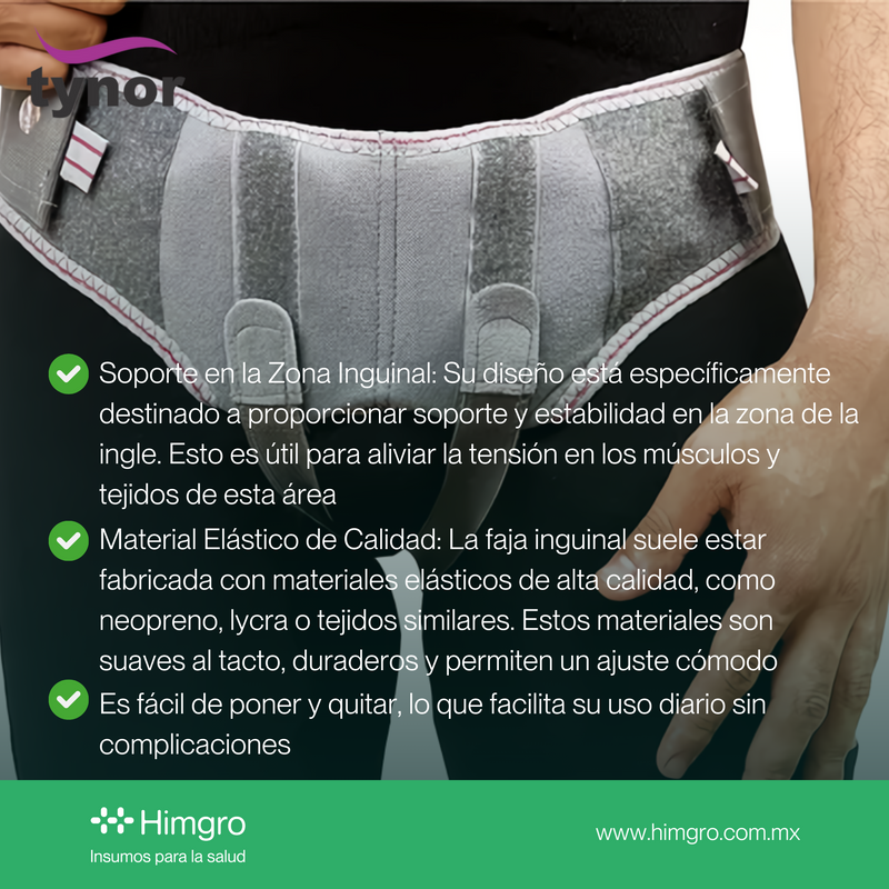 Faja inguinal